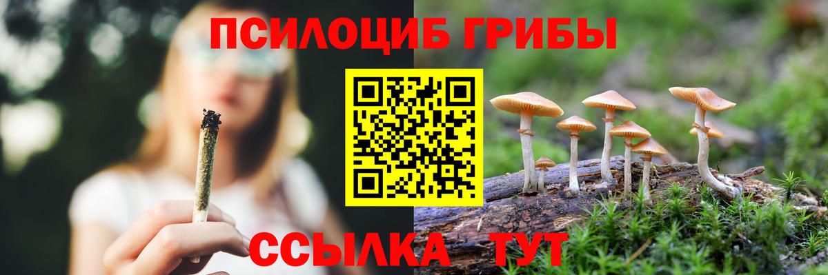 Псилоцибиновые грибы Cubensis  Вход с VPN  Псилоцибиновые грибы Psilocybe  Чусовой 